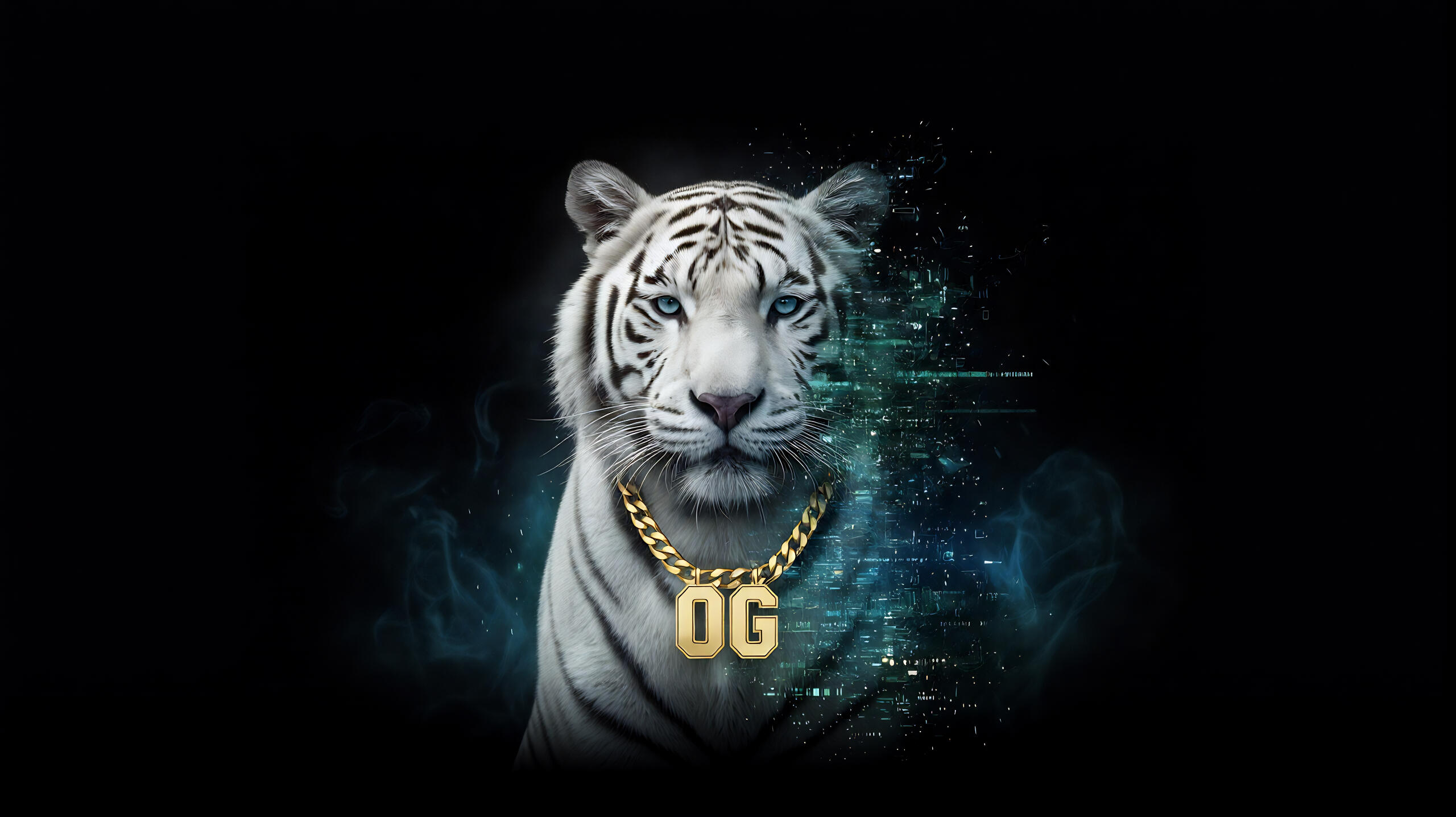 BNBTiger OG bnbtigerog transitions